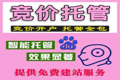 探索SEM竞价托管的最佳实践案例
